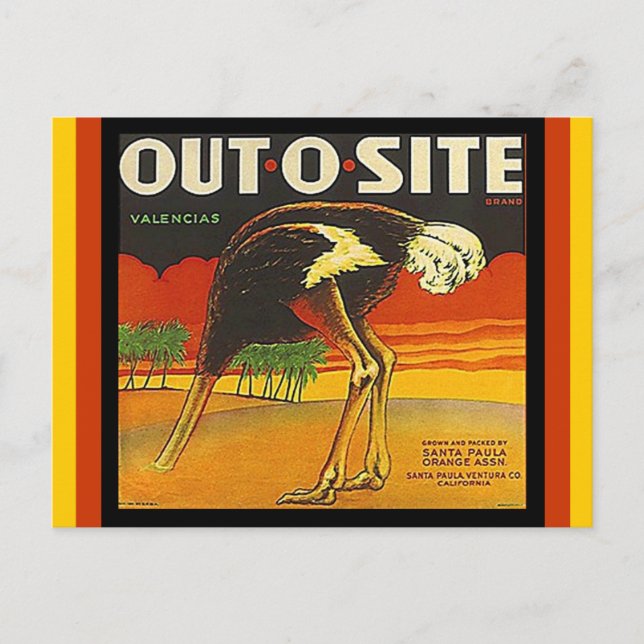 Vintage Out-o-site Ostrich citrus crate Postcards (Front)