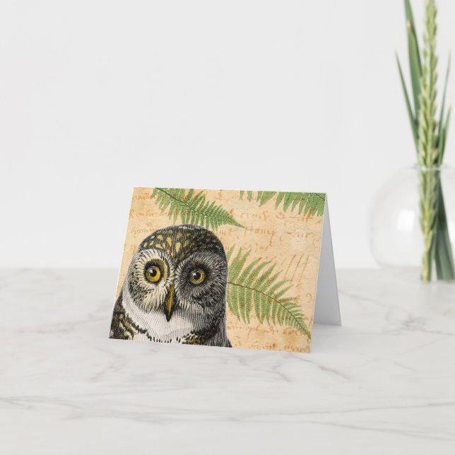 Vintage Owl and Ferns All Occasions  Holiday Card (Front)