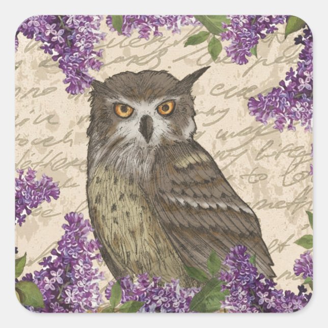 Vintage owl and lilac square sticker (Front)
