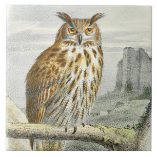 Vintage owl animal decor ceramic tile