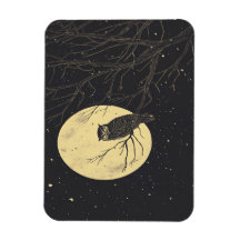 Vintage Owl Art Under A Moonlit Sky