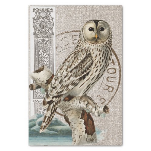 Vintage Owl Bird Brown Decoupage French Postmark  Tissue Paper