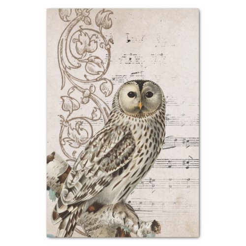 Vintage Owl Bird Music Scroll Vines Parchment  Tissue Paper