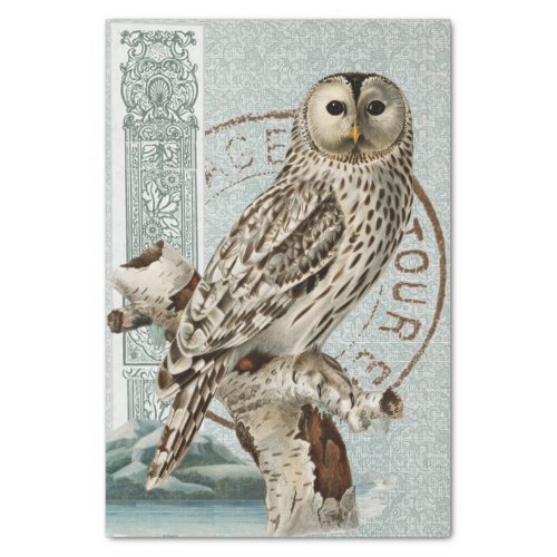 Vintage Owl Bird Teal Decoupage French Postmark  Tissue Paper