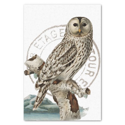 Vintage Owl Bird Tree Decoupage French Postmark  Tissue Paper