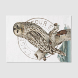 Vintage Owl Bird Tree Decoupage French Postmark Tissue Paper