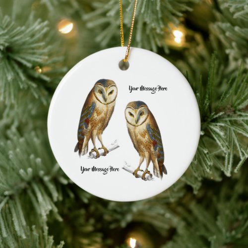 Vintage Owl chouette effraie bird Personalized Ceramic Ornament