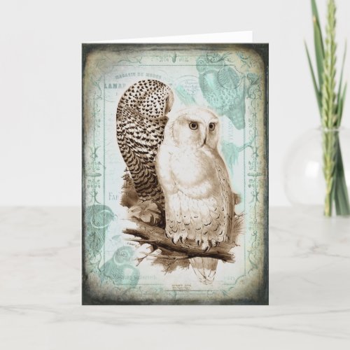 Vintage Owl Couple Greeting Card