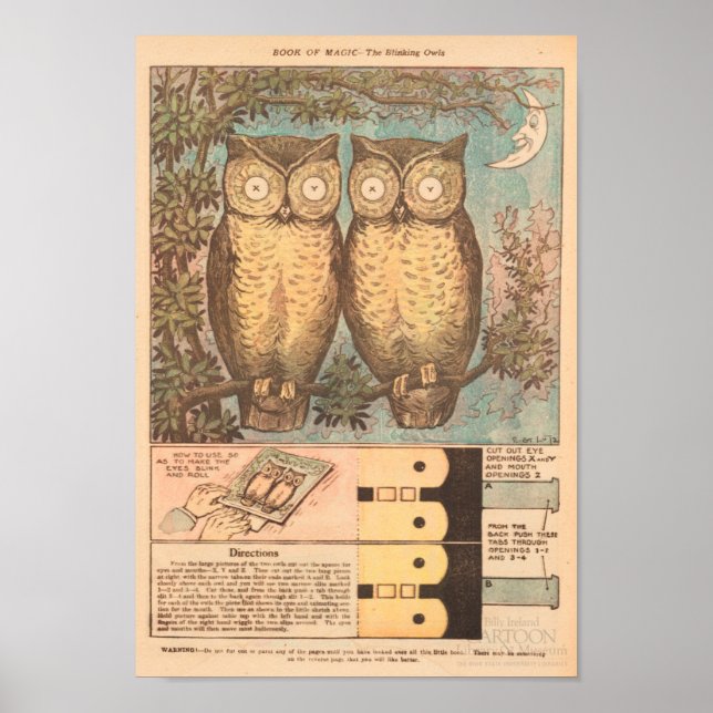 Vintage owl cute fall craft  poster (Front)