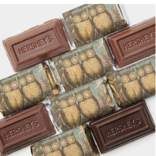 Vintage owl cute fall kid's craft illustration hershey's miniatures