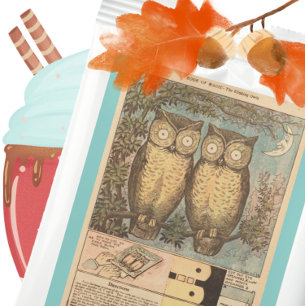Vintage owl cute fall kid's craft illustration hot chocolate drink mix