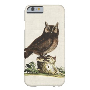 Vintage Owl Drawing Barely There Iphone 6 Case by BluePress at Zazzle