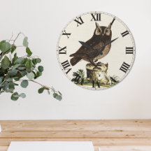 Vintage Owl Drawing