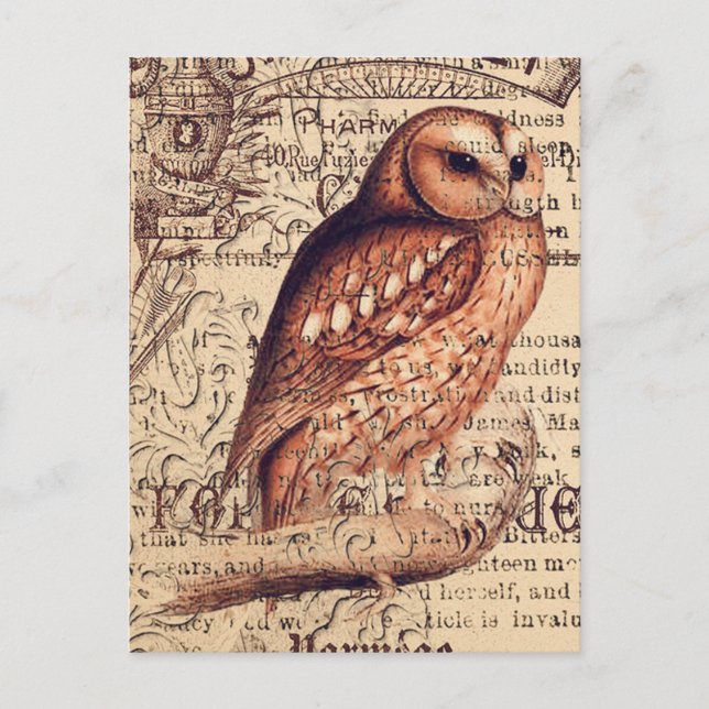 Vintage owl Ephemera Decoupage Postcard (Front)
