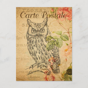 Vintage Owl Floral Flowers French Cartle Postale Postcard