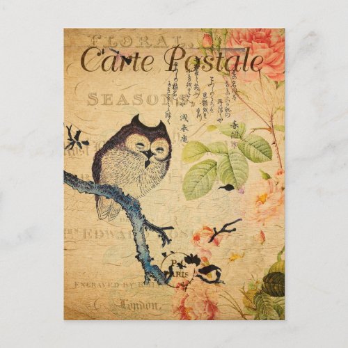 Vintage Owl Floral Flowers French Cartle Postale Postcard