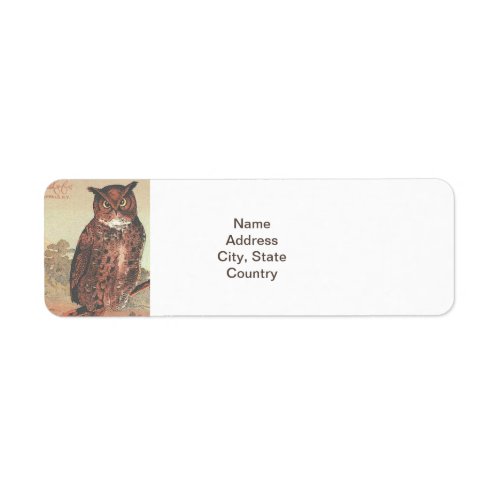 Vintage Owl for Owl Lovers Halloween Autumn Bird Label