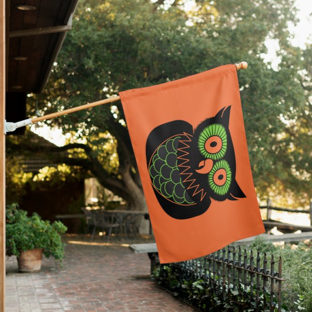 Vintage Owl House Flag (In SItu)