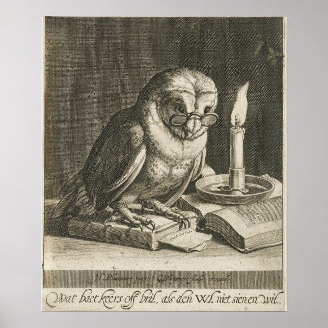 Vintage Owl Illustration Poster (Front)