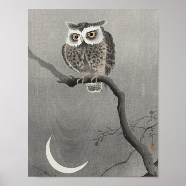 Vintage Owl Illustration Poster (Front)