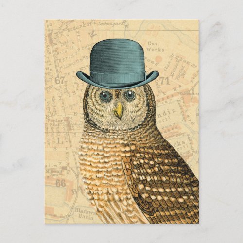 Vintage Owl in Green Derby Hat Postcard