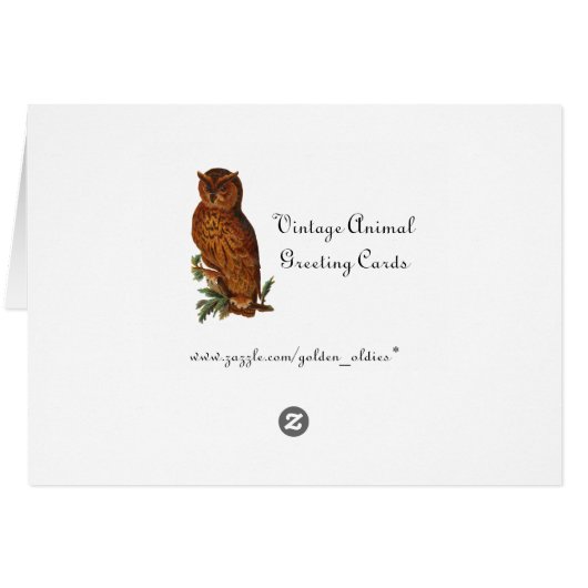 Vintage Owl in the Woods (Back Horizontal)