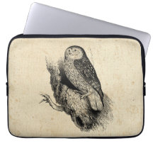 Vintage Owl