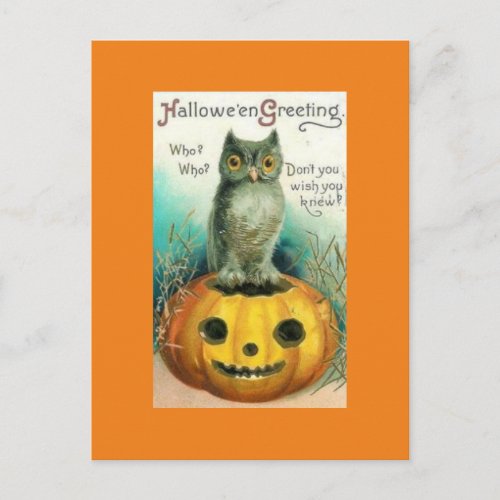 Vintage Owl on Pumpkin Halloween Postcard