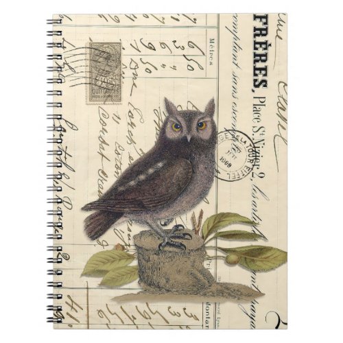 Vintage Owl on Stump Spiral Journal Notebook 