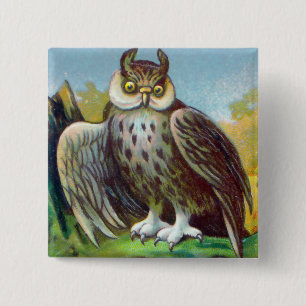 Vintage Owl Print Pinback Button