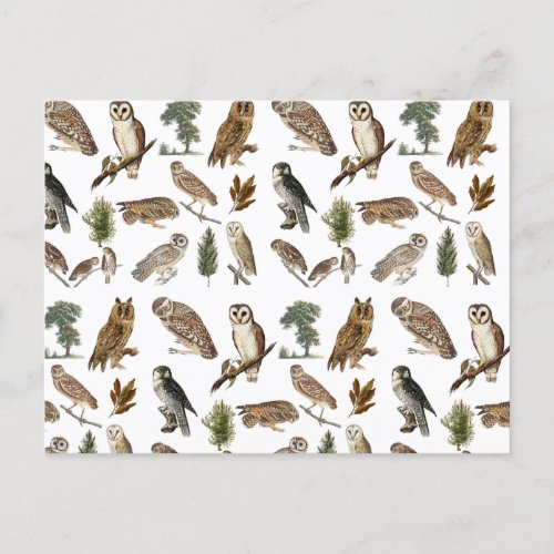 Vintage Owl Watercolor Forest Pattern  Holiday Postcard