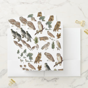 Vintage Owl Watercolor Forest Pattern Pocket Folder