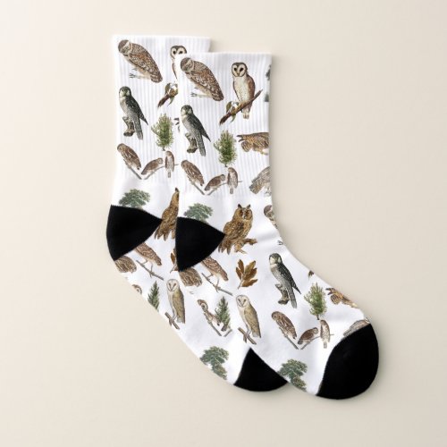 Vintage Owl Watercolor Forest Pattern Socks