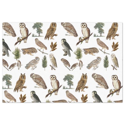 Vintage Owl Watercolor Forest Pattern   Tissue Paper