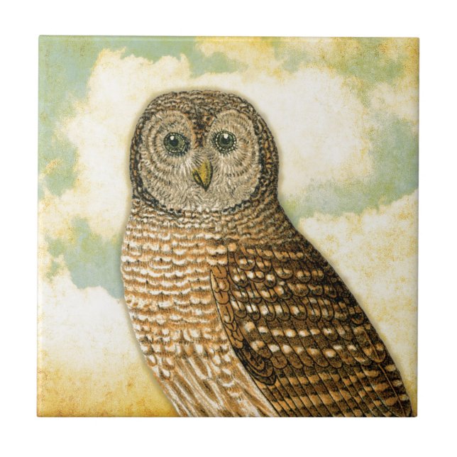 Vintage Owl with Clouds Ceramic Tile (Front)