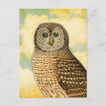 Vintage Owl With Clouds Postcard by AnyTownArt at Zazzle