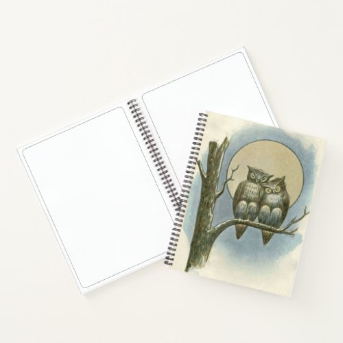 Vintage owls illustration notebook