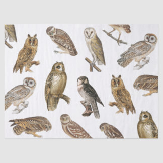 Vintage Owls Pattern Decoupage Tissue Paper