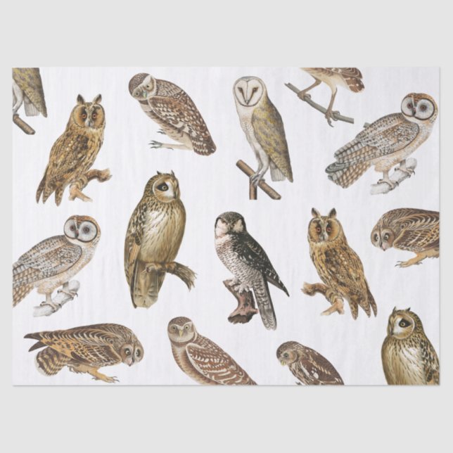 Vintage Owls Pattern Decoupage Tissue Paper (Front)