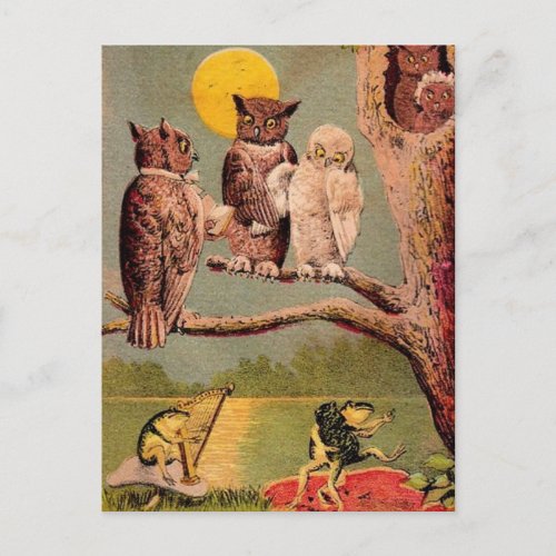 Vintage Owls Postcard