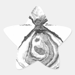 Vintage Oyster Animal Print Star Sticker