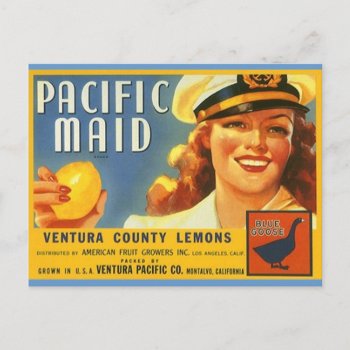 Vintage Pacific Maid Lemons Sailor Gal Postcards by layooper at Zazzle