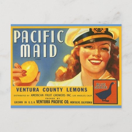 Vintage Pacific Maid Lemons Sailor Gal Postcards