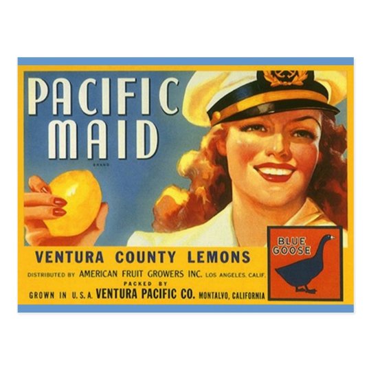 Vintage Pacific Maid Lemons Sailor Gal Postcards
