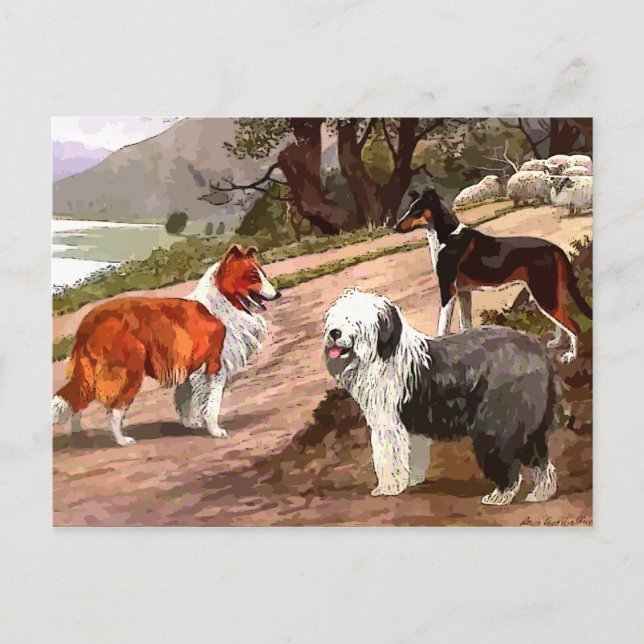 Vintage Painted Collies Postcard (Front)