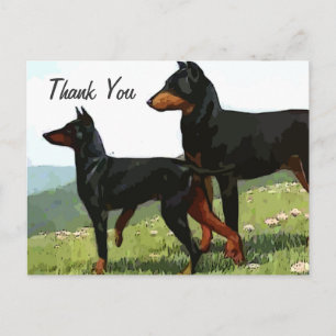vintage painted doberman thank you postcard