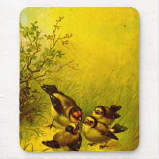 Vintage Painted Sparrows Mouse Pad
