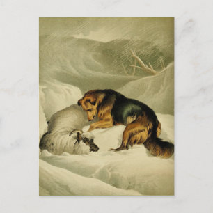 Vintage Painting: German Shepherd in the Snow Postcard