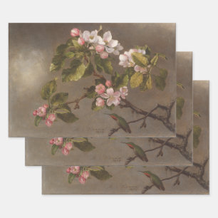 Vintage Painting Hummingbird and Apple Blossoms Wrapping Paper Sheets