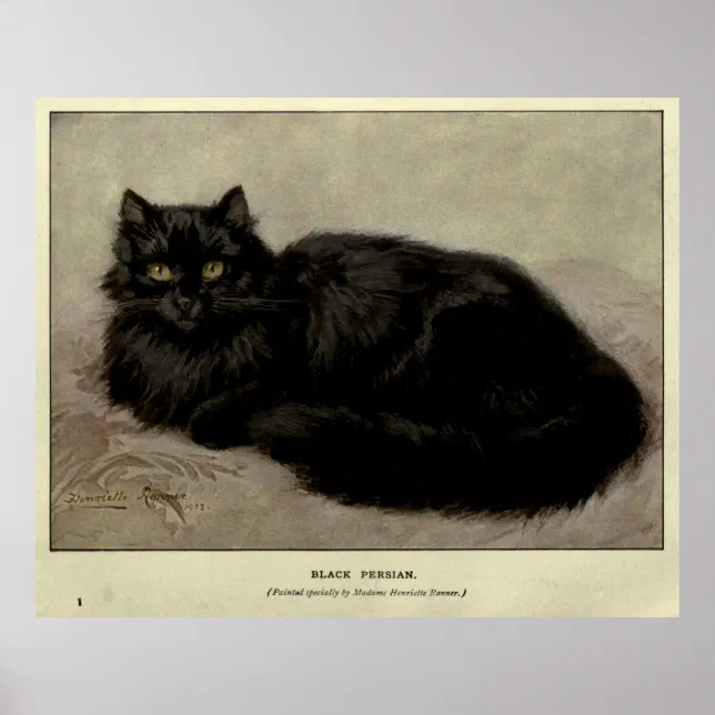 Vintage Painting of a Black Cat (1903) Poster | Zazzle